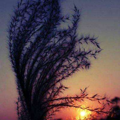 新天地棋牌手机app下载